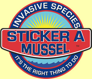Mussel Report